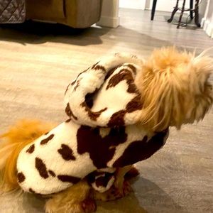 Hooded Furr Doggie coat